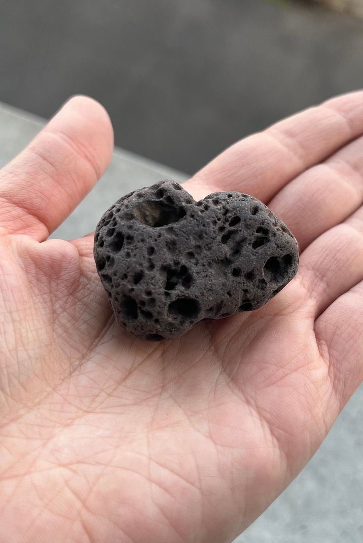 زهره فریدونی گودرزی