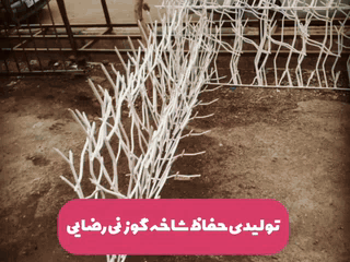 تولیدوعرضه حفاظ شاخ گوزنی