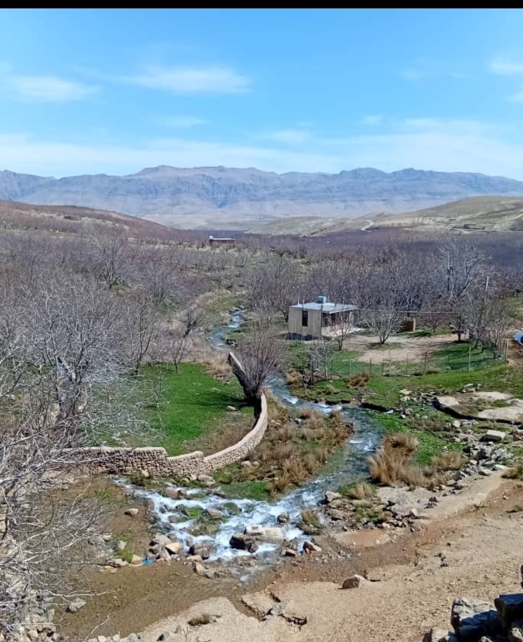 بومگردی ایران بانو