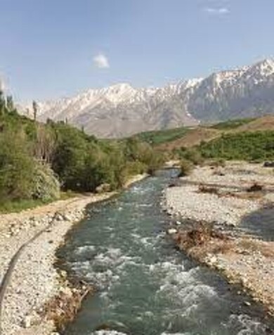 بومگردی ایران بانو