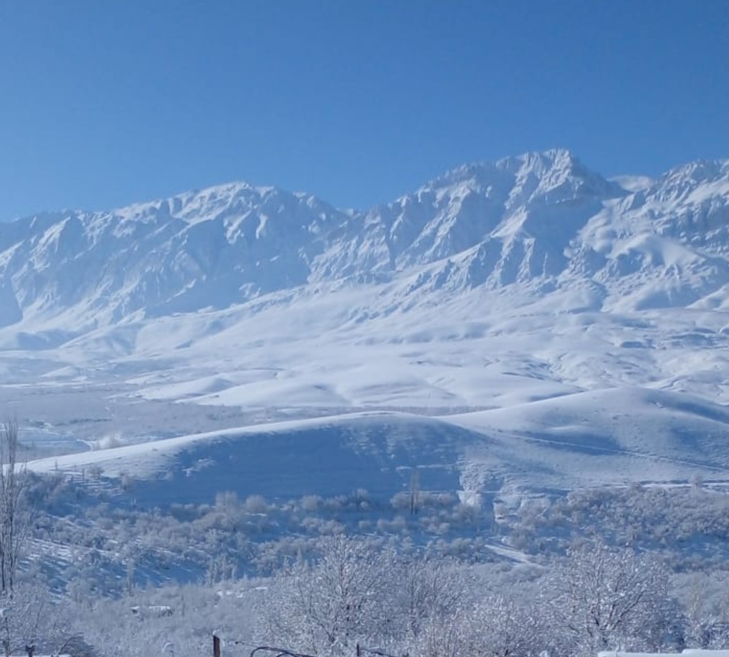 بومگردی ایران بانو
