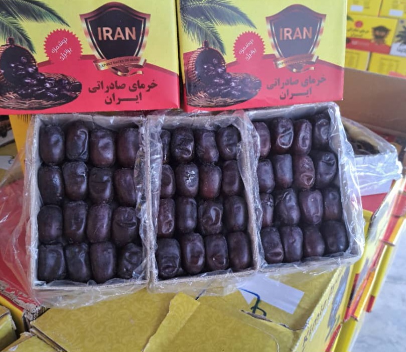 خرمای کلوته ومضافتی میانچیل ایران