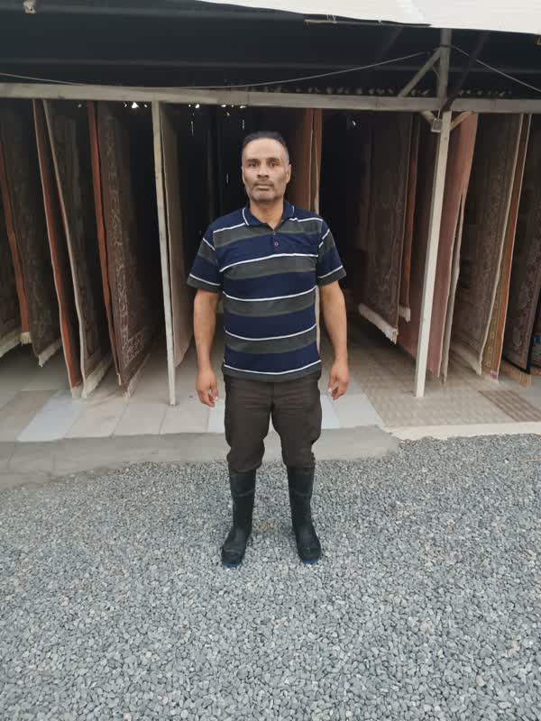 قالی شویی محسن