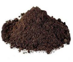 پوکه رسول محمدی 