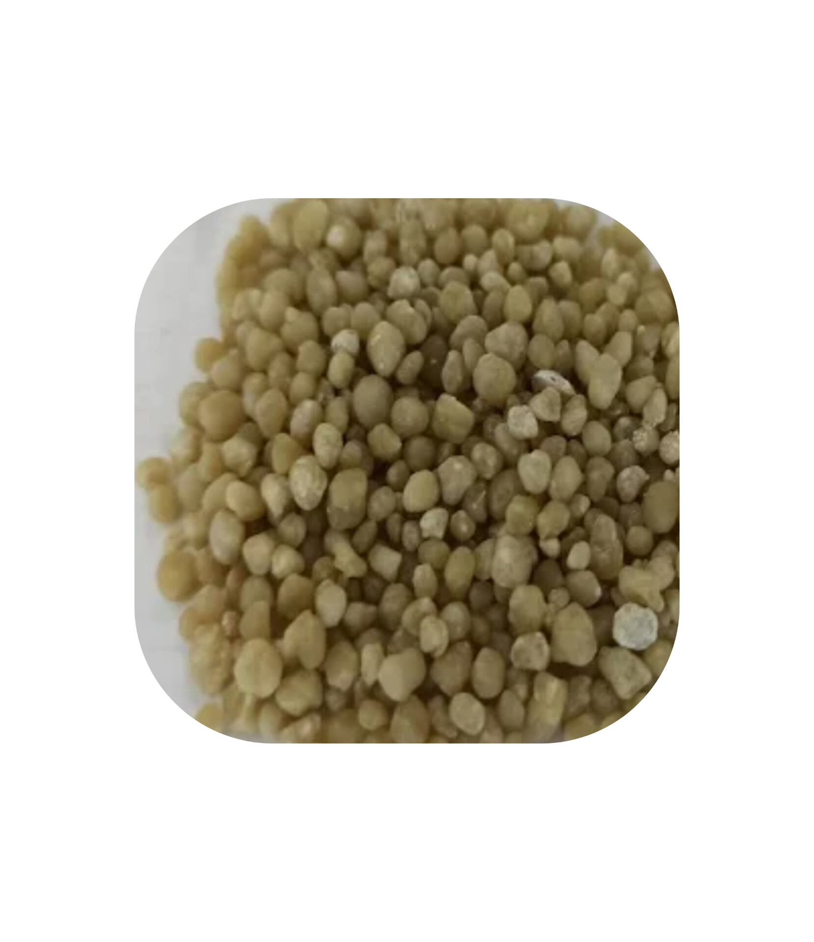 فروش سموم کشاورزی در

 کرمانشاه 