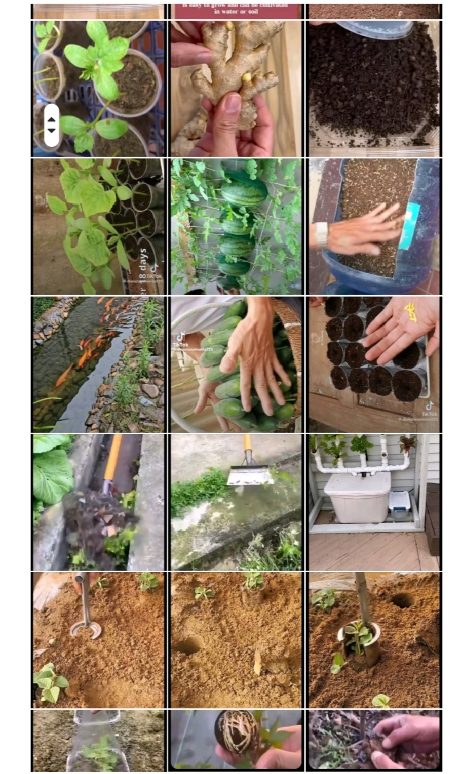 فروش سموم کشاورزی در

 کرمانشاه 