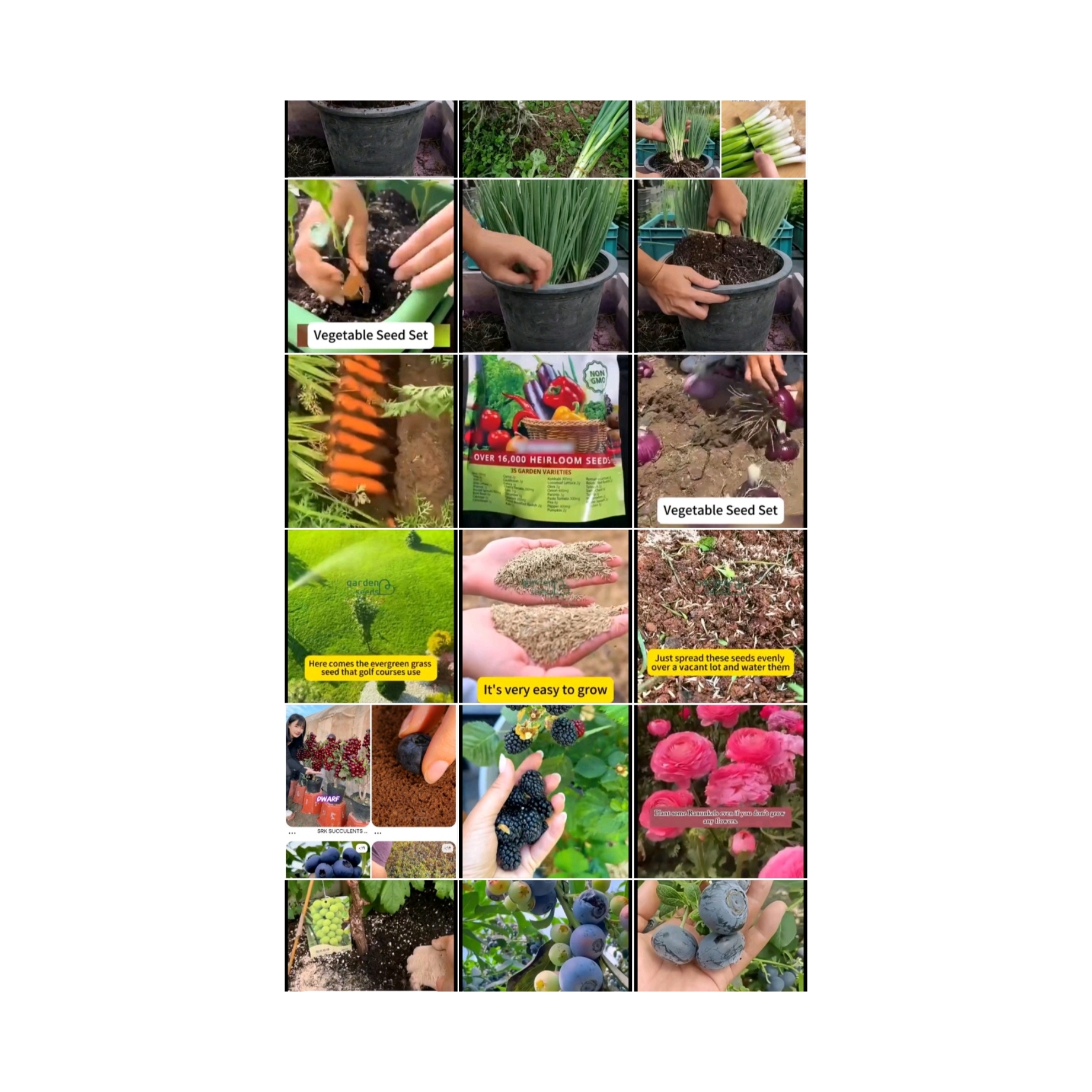 فروش سموم کشاورزی در

 کرمانشاه 