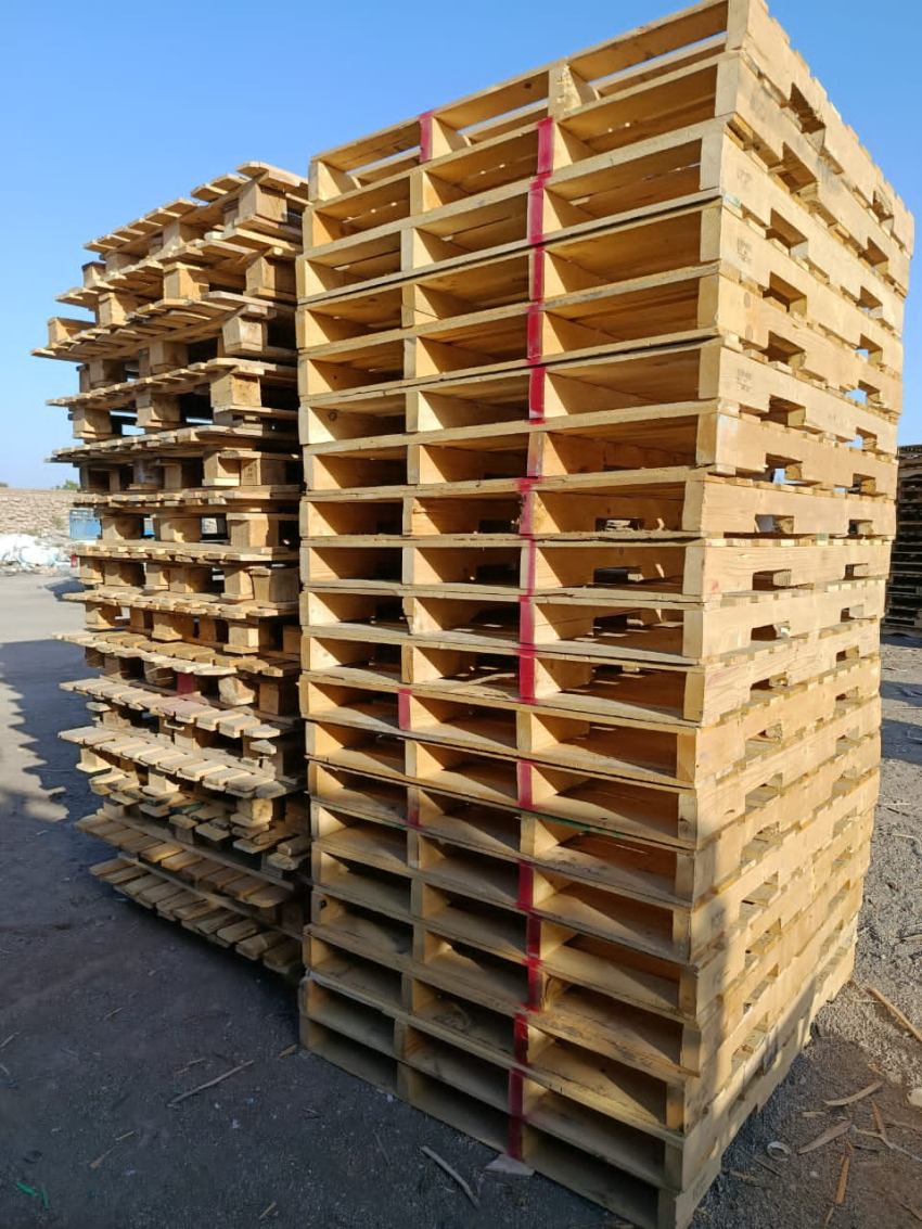 نصرالله نوروزی