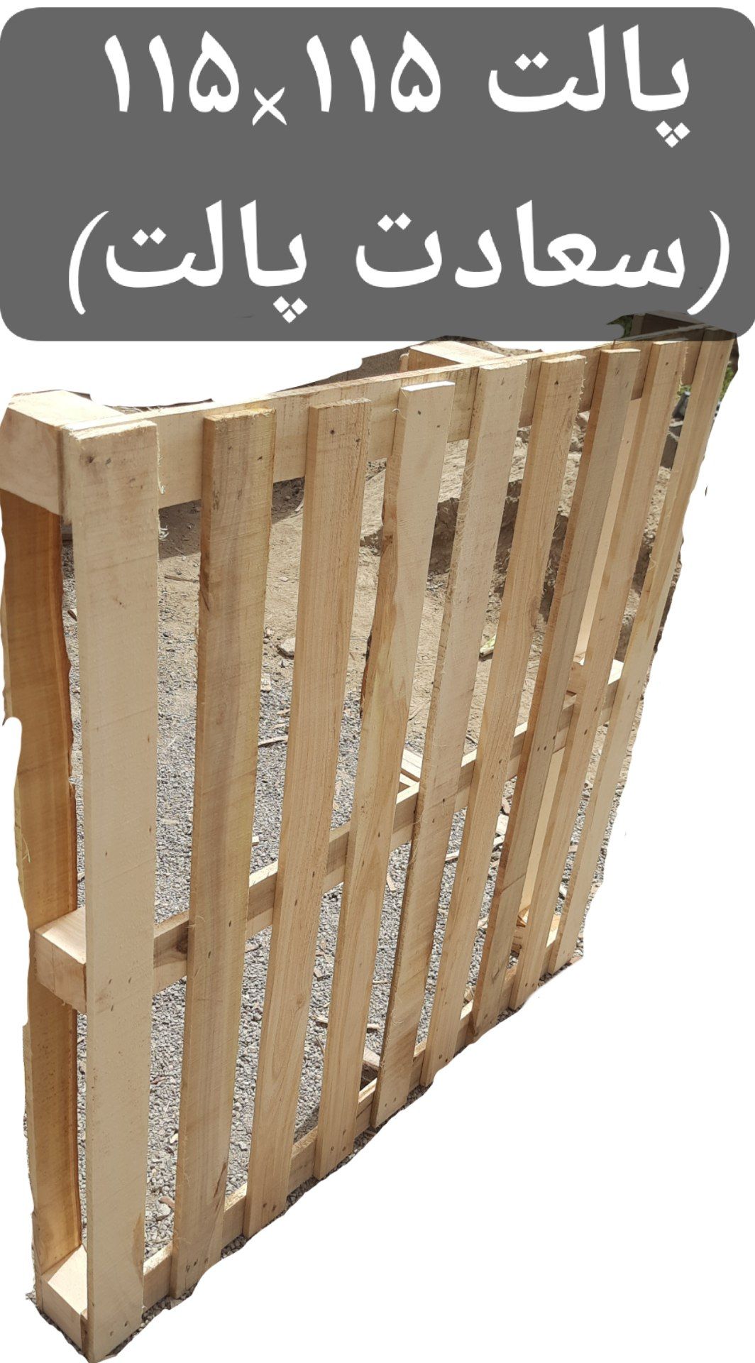 کامران روشندل