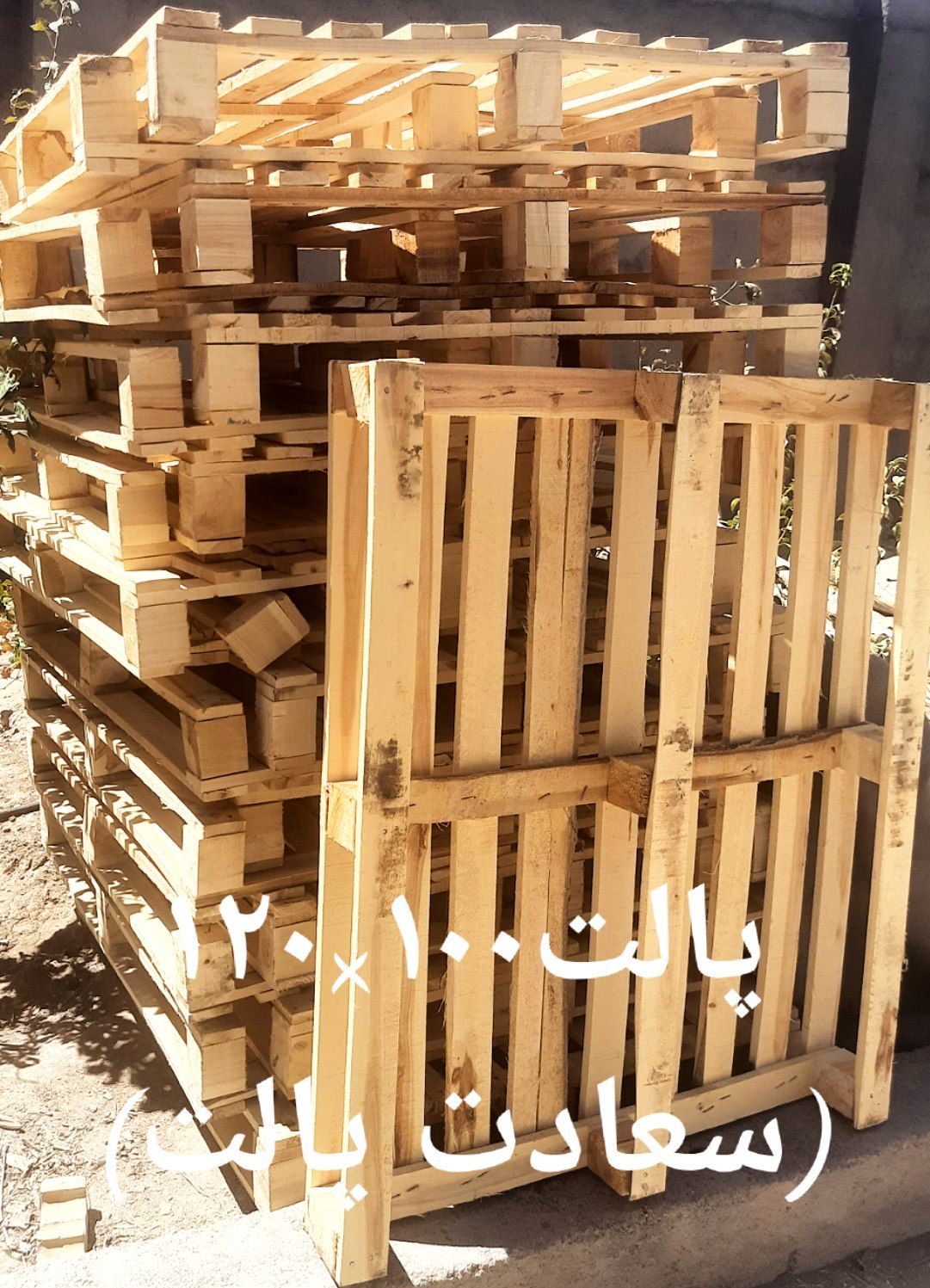 کامران روشندل