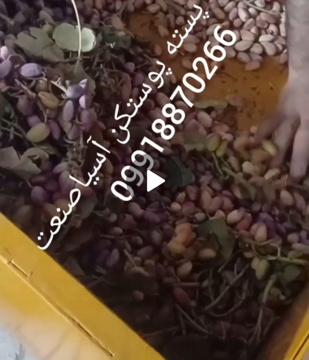 فروش دستگاه پوست کن بادام و گردو پسته و فندق در تهران