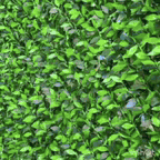 چمن مصنوعی
در رشت