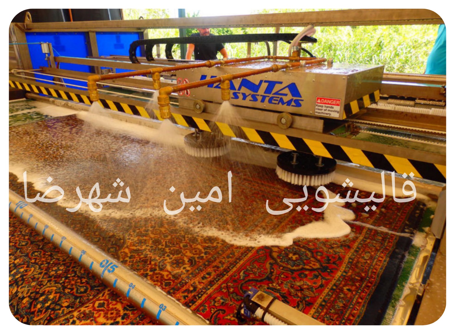 قالیشویی امین شهرضا