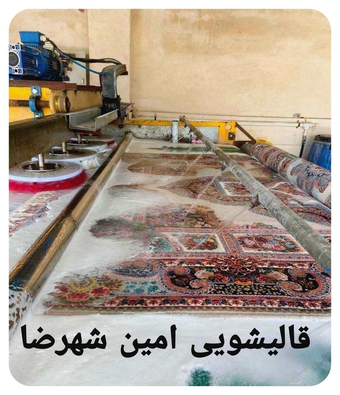 قالیشویی امین در شهرضا