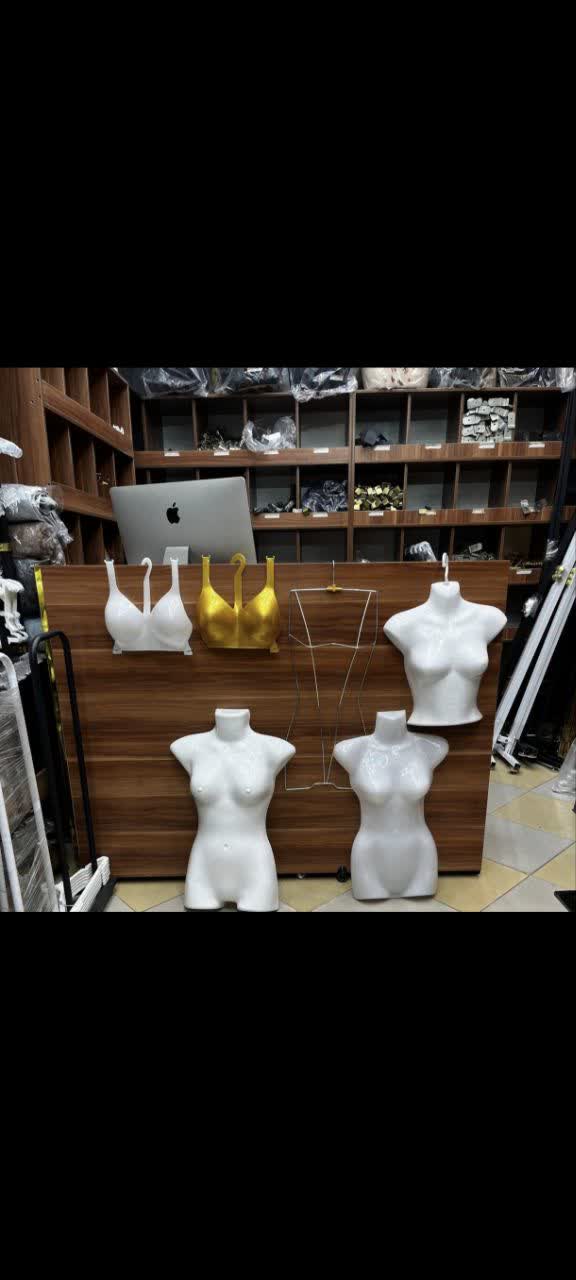 Lingerie mannequins