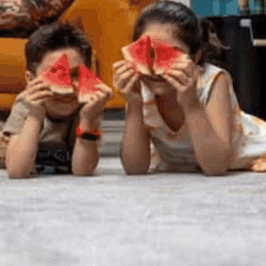 نمایندگی پالاز موکت در رشت