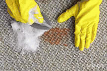 نمایندگی پالاز موکت در رشت