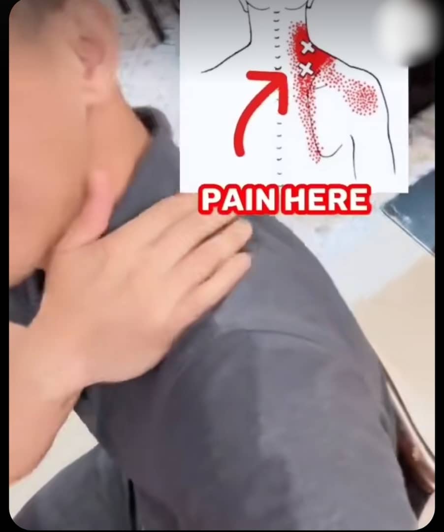 دکترعباس ناصحی