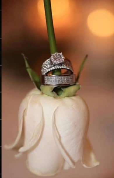 فیلمبرداری و عکاسی شاهان