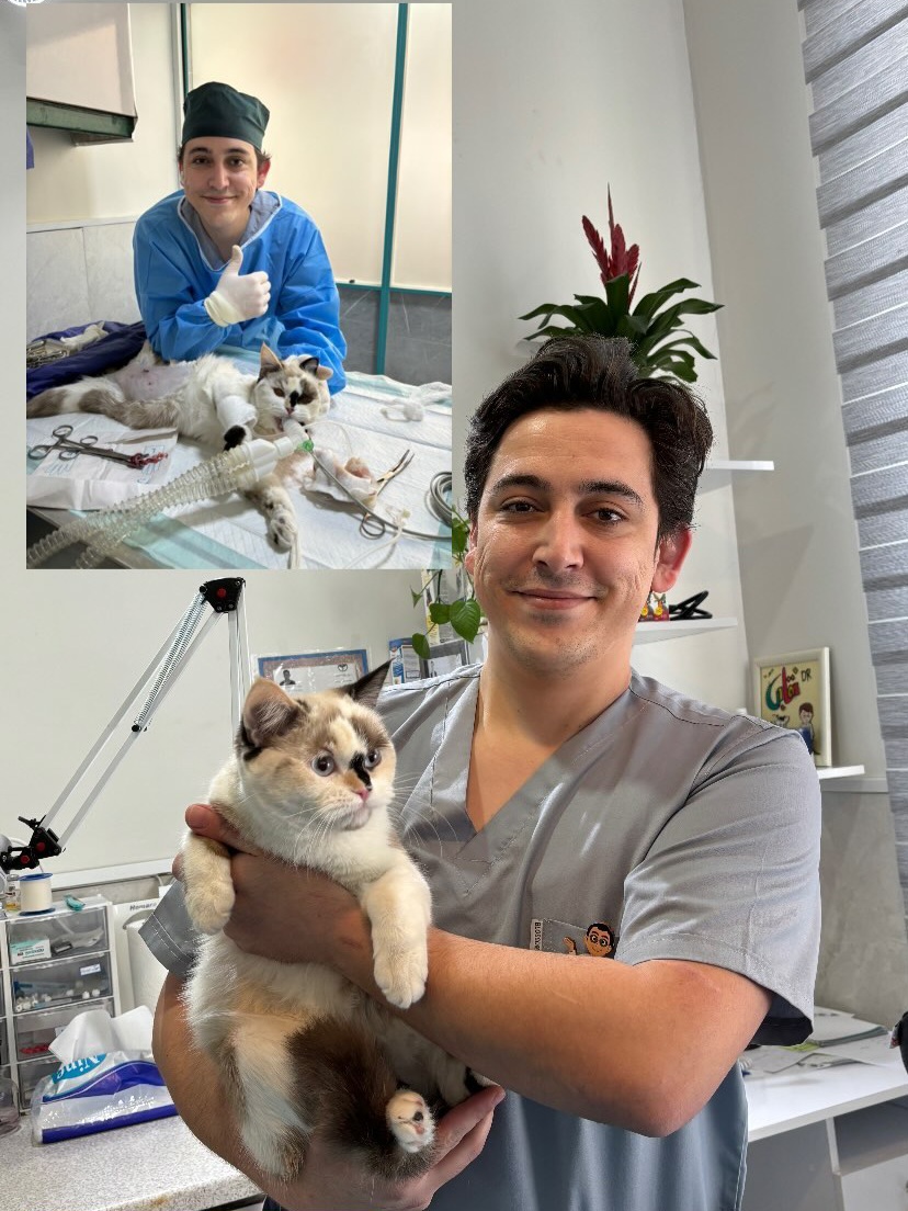 پت شاپ پاسداران