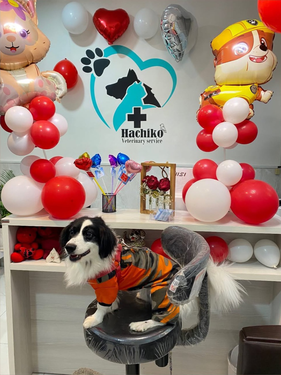 پت شاپ پاسداران