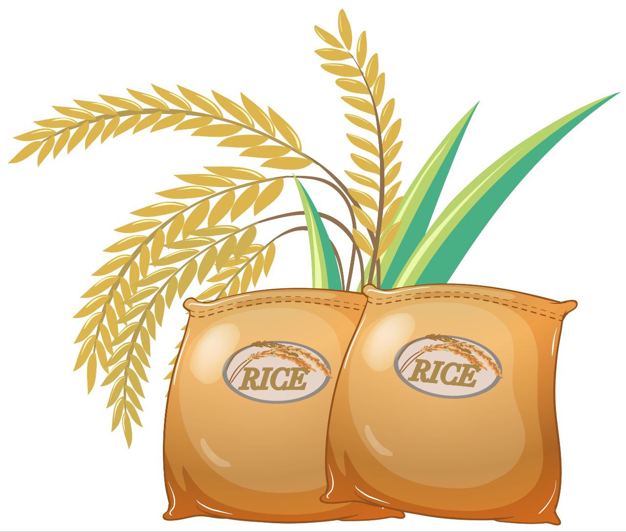 برنج فروشی در بروجرد