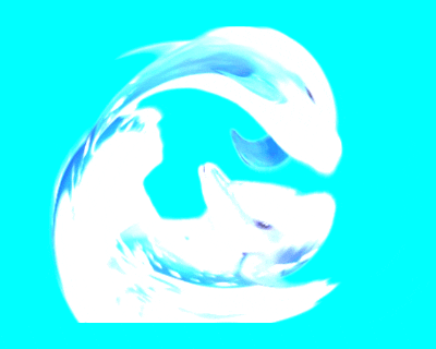 خرید و فروش لپ تاپ استوک شیراز