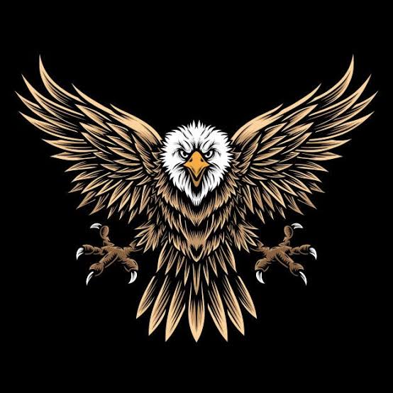 فلاینیگ ایگل