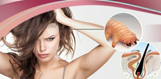 دکتر سیده رابعه روحانی