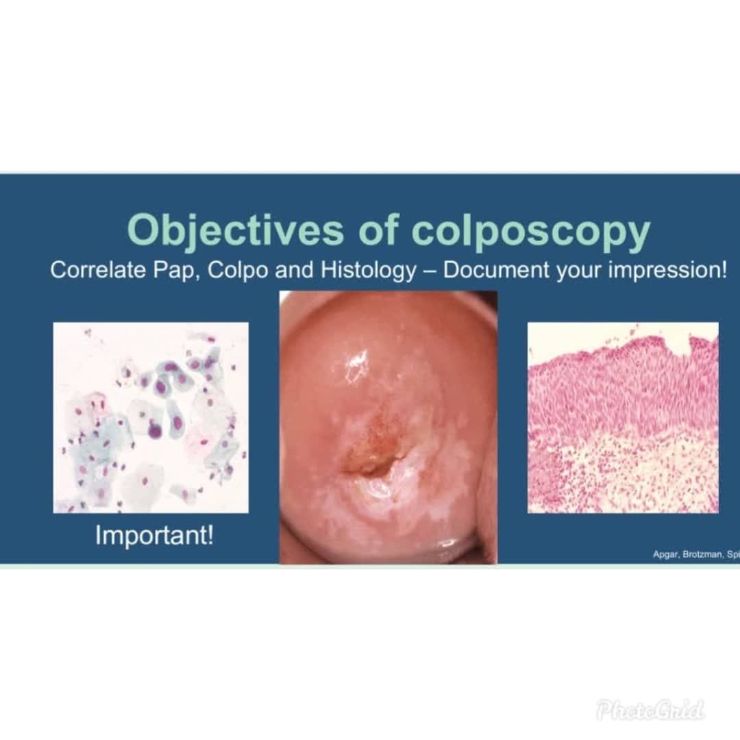 دکتر سیده رابعه روحانی