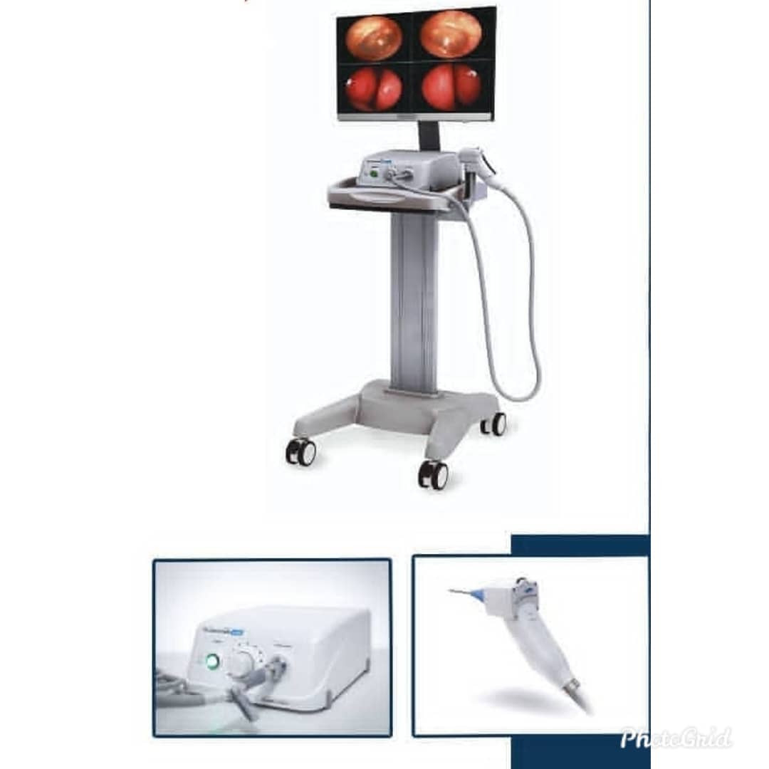 دکتر سیده رابعه روحانی