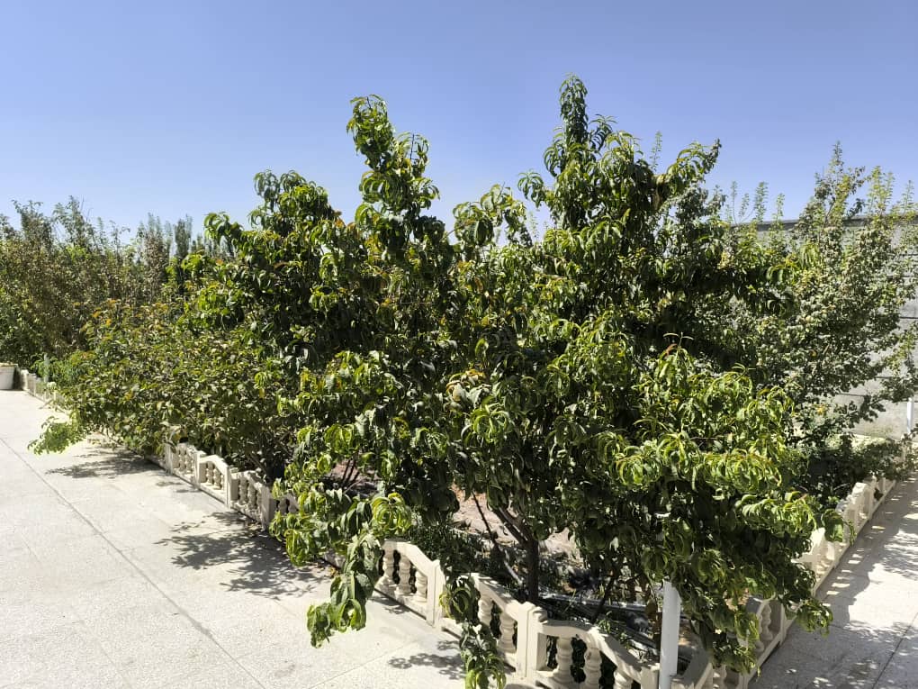 املاک مهیاران 
 