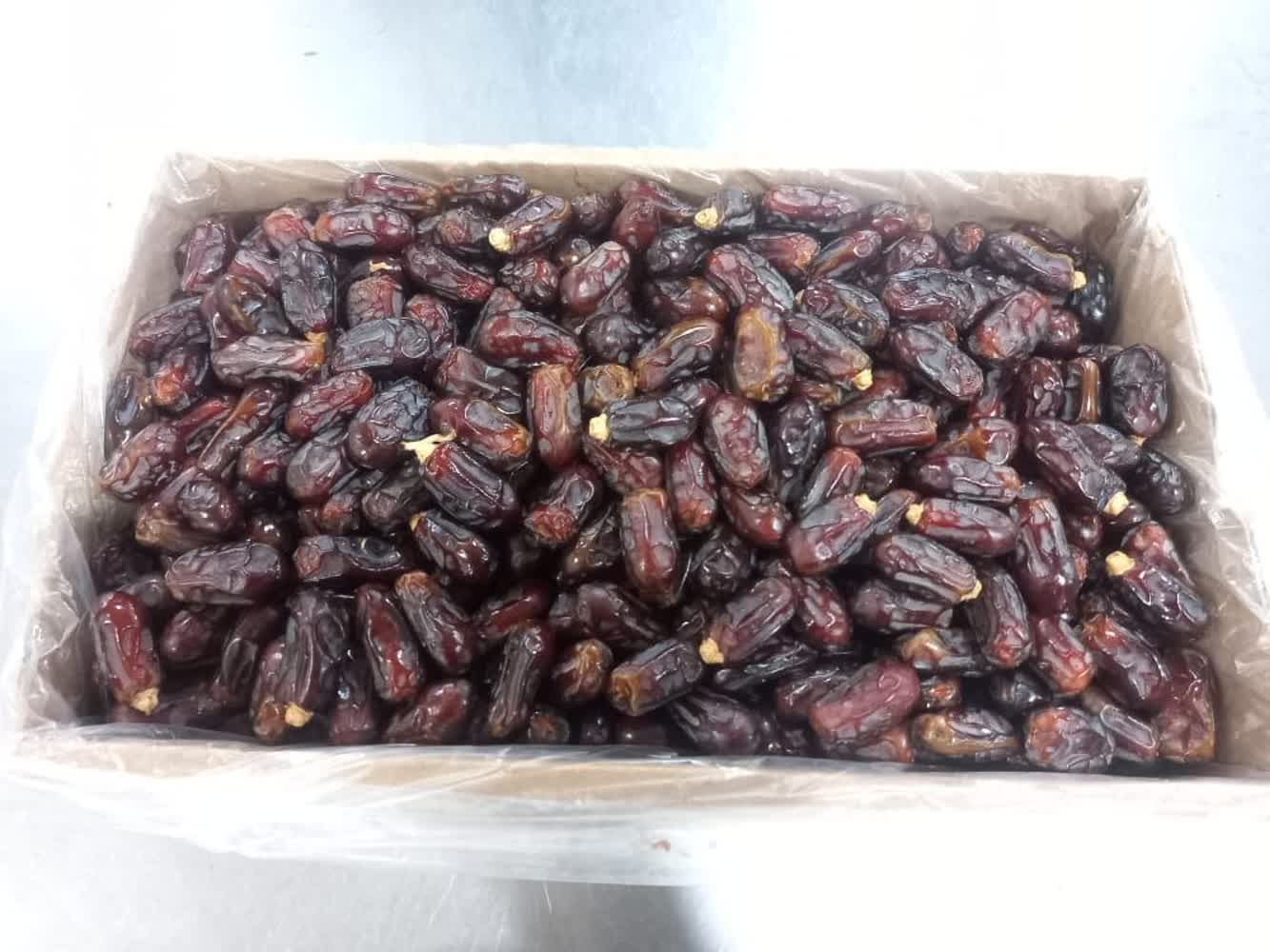 خرما استعمران