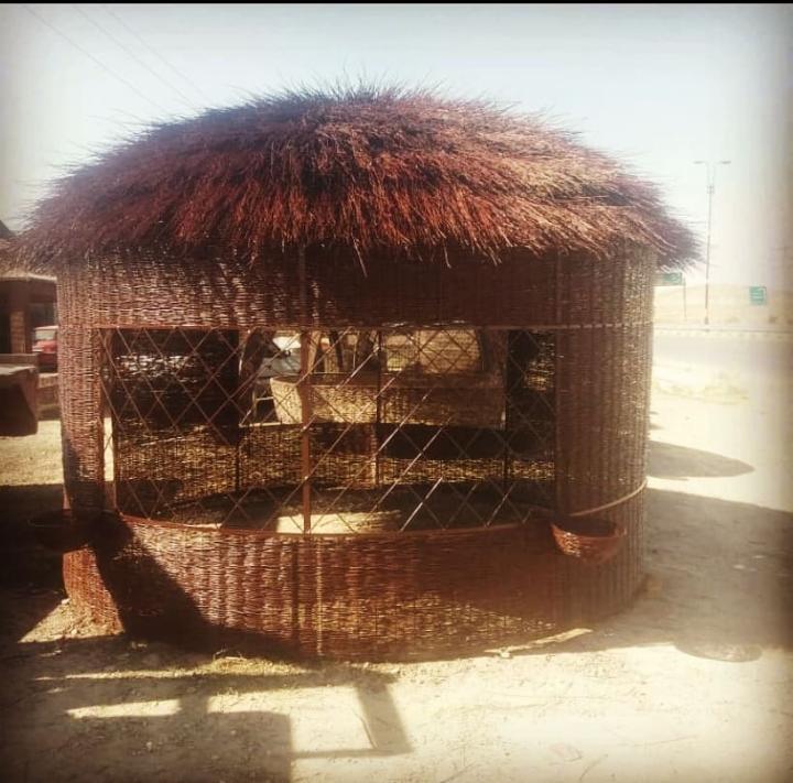 قیمتکانکس مسافرتی