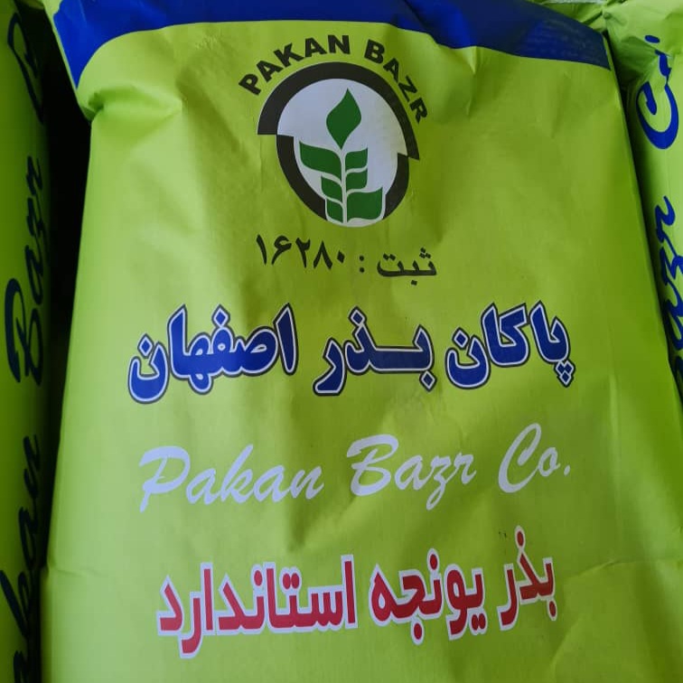 خرید و فروش انواع بذر یونجه