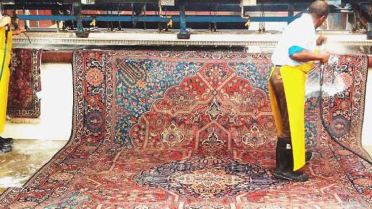 رضا جمالی پور