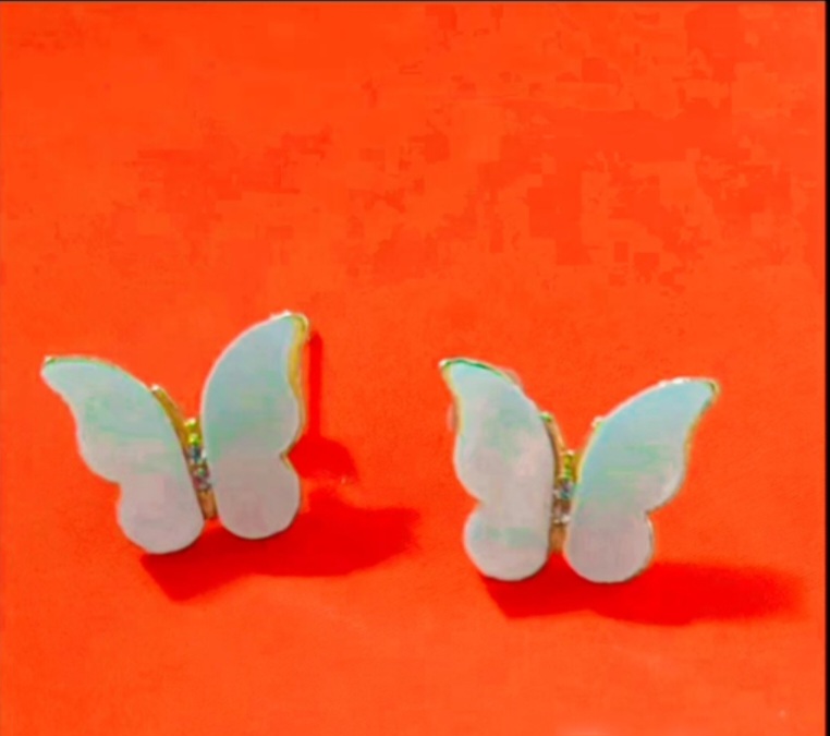 شاین اکسسوری