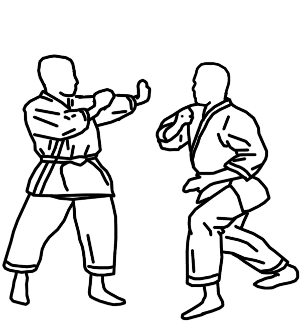 آیکی جیتسو ایران