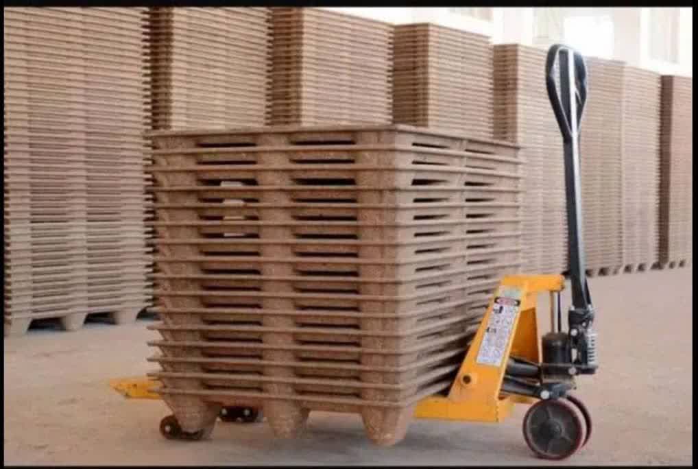 پالت چوبی وفشرده