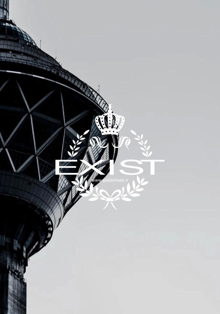 پخش کفش در تهران