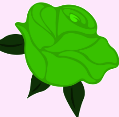 بهترین گلفروشی در کرمان