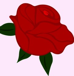 بهترین گلفروشی در کرمان