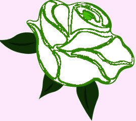 بهترین گلفروشی در کرمان