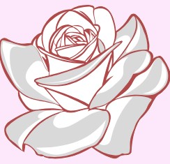 بهترین گلفروشی در کرمان