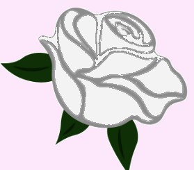 سفارش گل در کرمان 