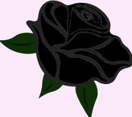 سفارش گل در کرمان 