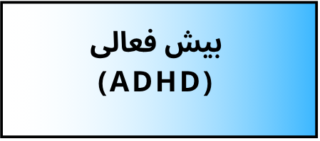 بهترین دکتر روانشناسی