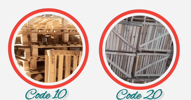 محمد علی جلیلی کندرود