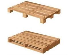 محمد علی جلیلی کندرود