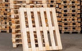 محمد علی جلیلی کندرود